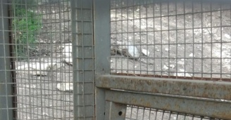 Фото Высшие силы №3