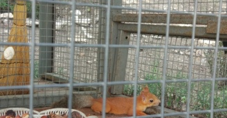 Фото Высшие силы №7